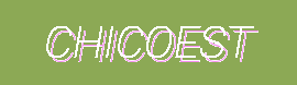 Chicoest – Affordable Trends, Eco Picks & Timeless Essentials for Everyday Elegance
